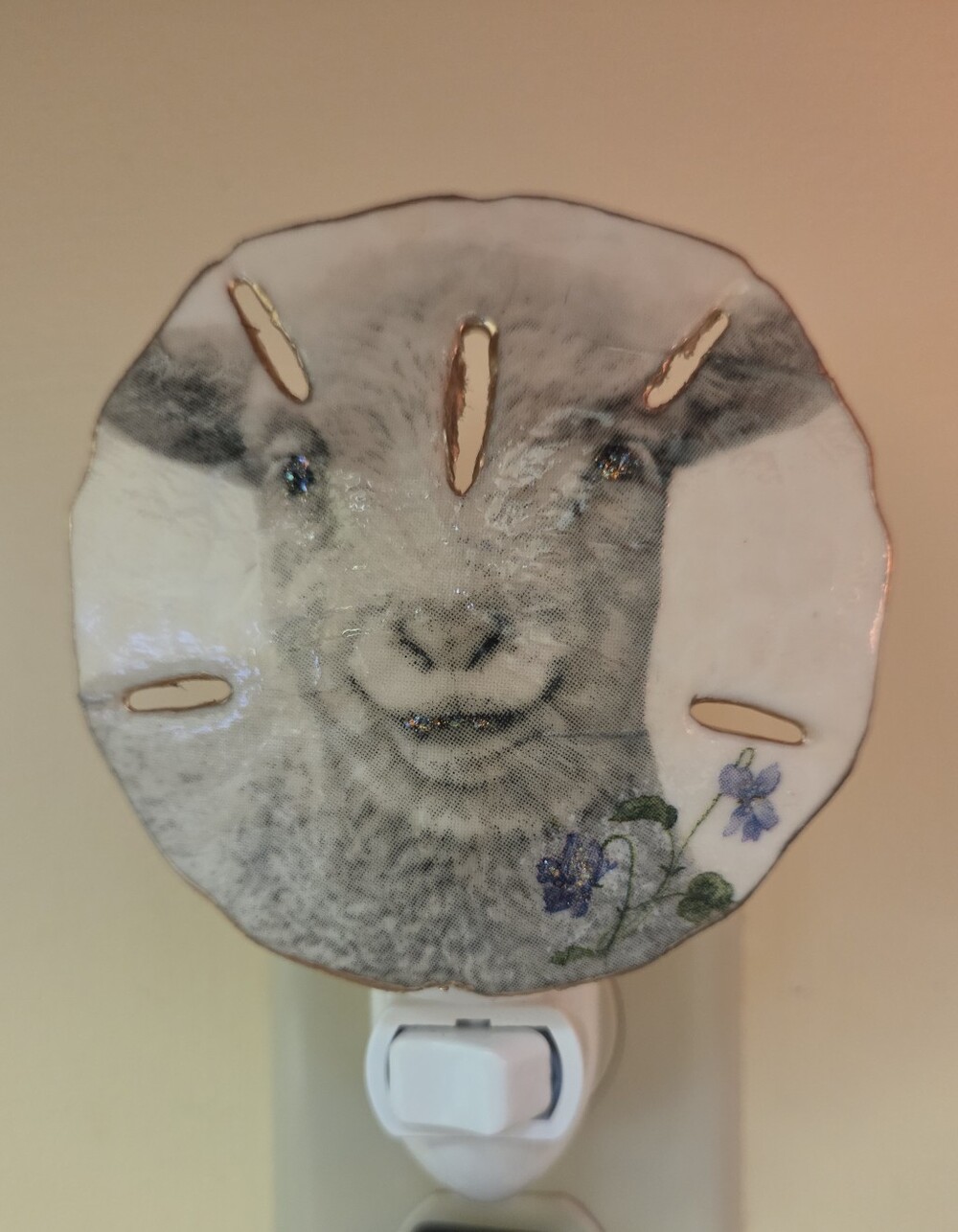 Handcrafted All Natural Sand Dollar Vintage Lamb Design